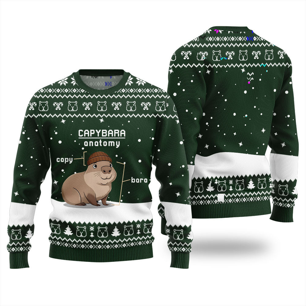 Capybara Anatomy Funny Christmas Sweater