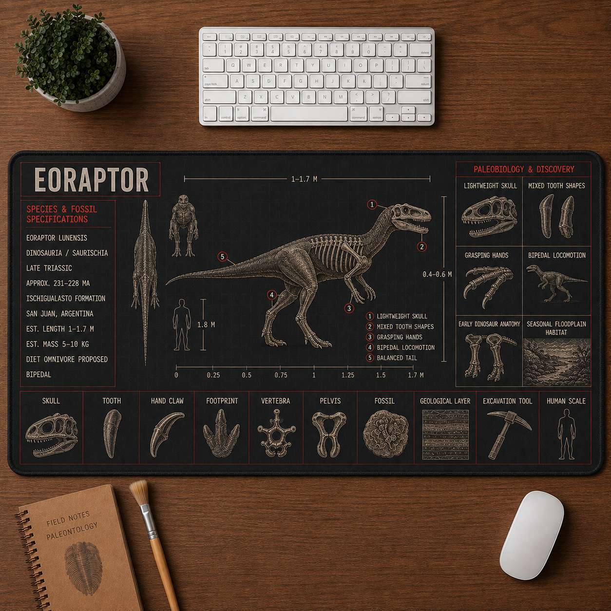 Eoraptor Dinosaur Blueprint Desk Mat | 5To9Vibe