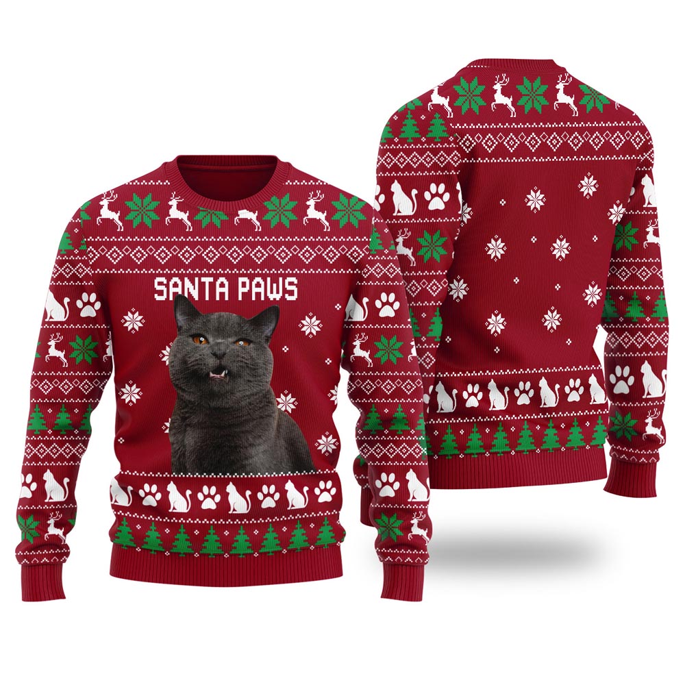 Santa Paws Personalized Cat Christmas Sweater