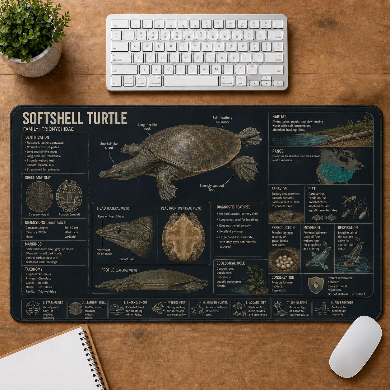 Softshell Turtle Turtle and Tortoise Species Guide Desk Mat | 5To9Vibe