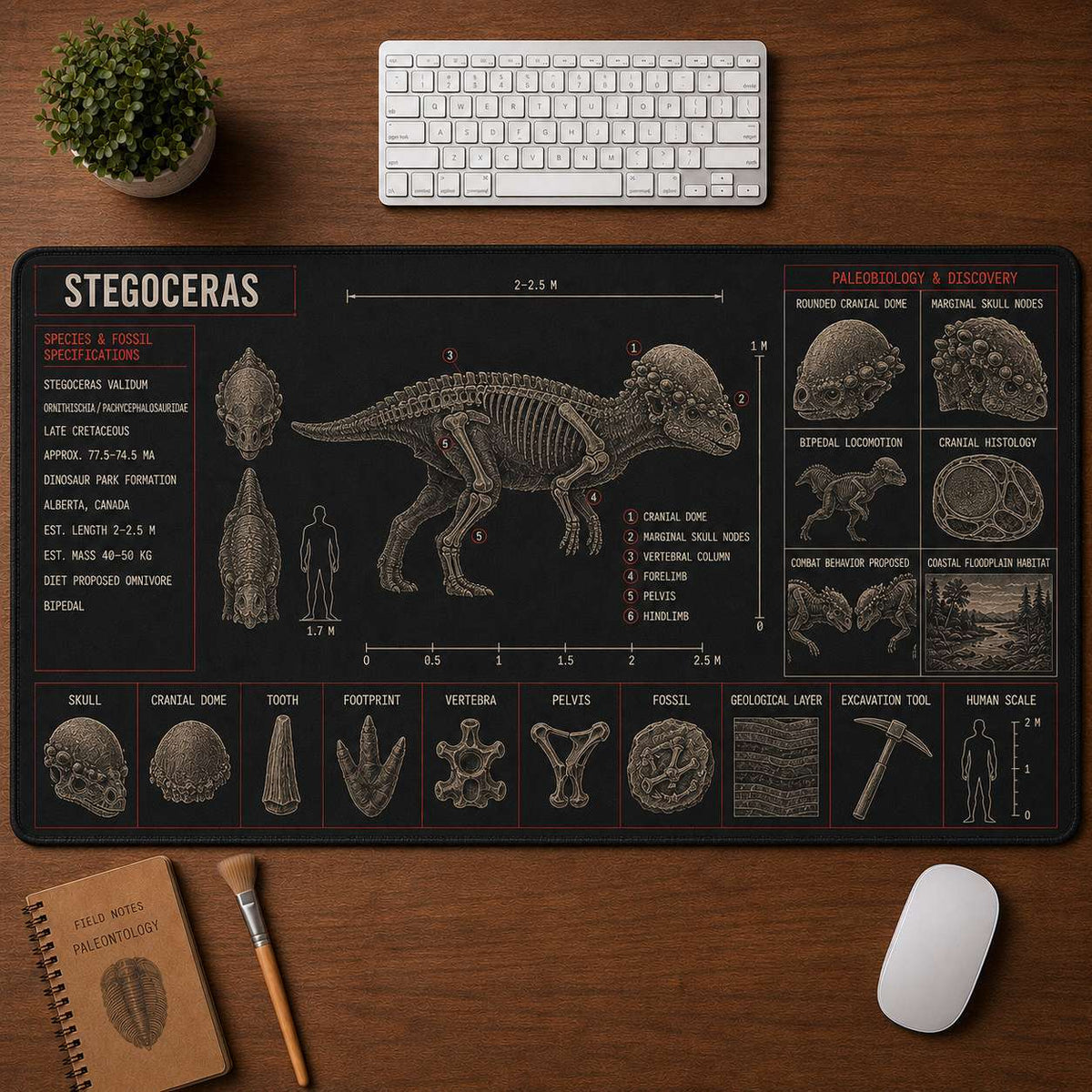 Stegoceras Dinosaur Blueprint Desk Mat | 5To9Vibe