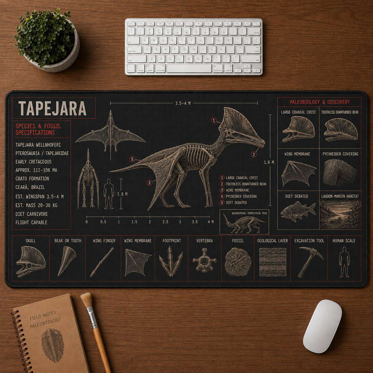 Tapejara Pterosaur Blueprint Desk Mat | 5To9Vibe