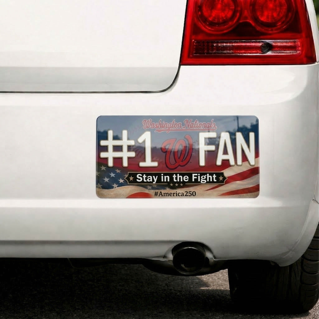Waterproof Vinyl Car Sticker Baseball Team Logo #1 Fan America 250