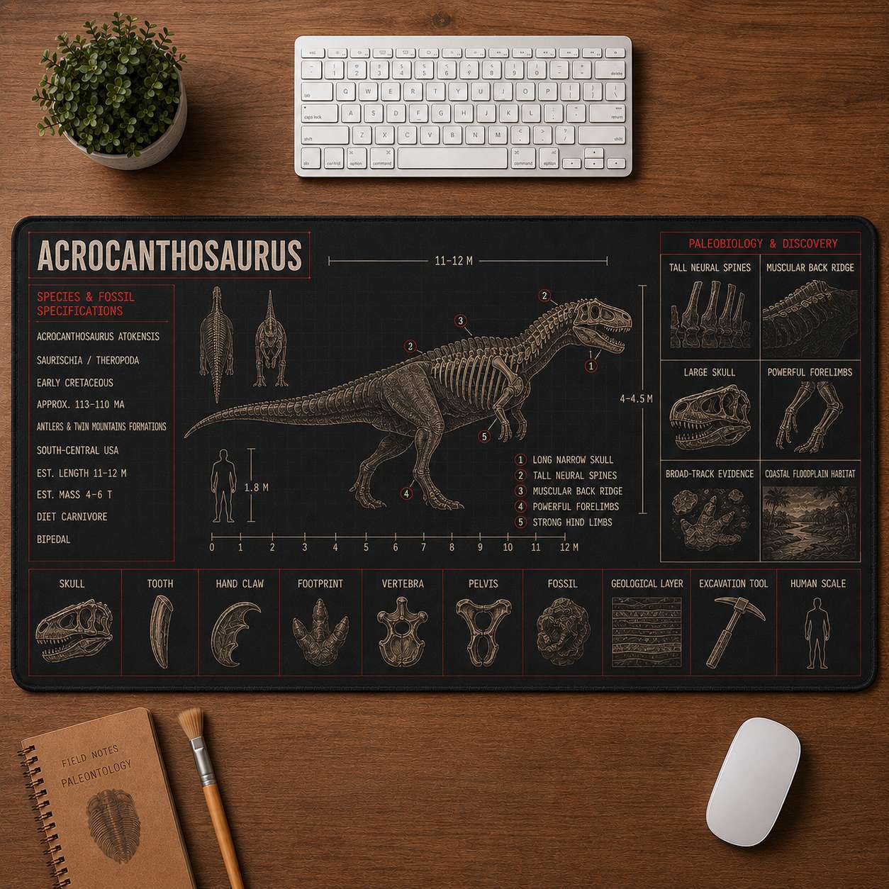 Acrocanthosaurus Dinosaur Blueprint Desk Mat | 5To9Vibe