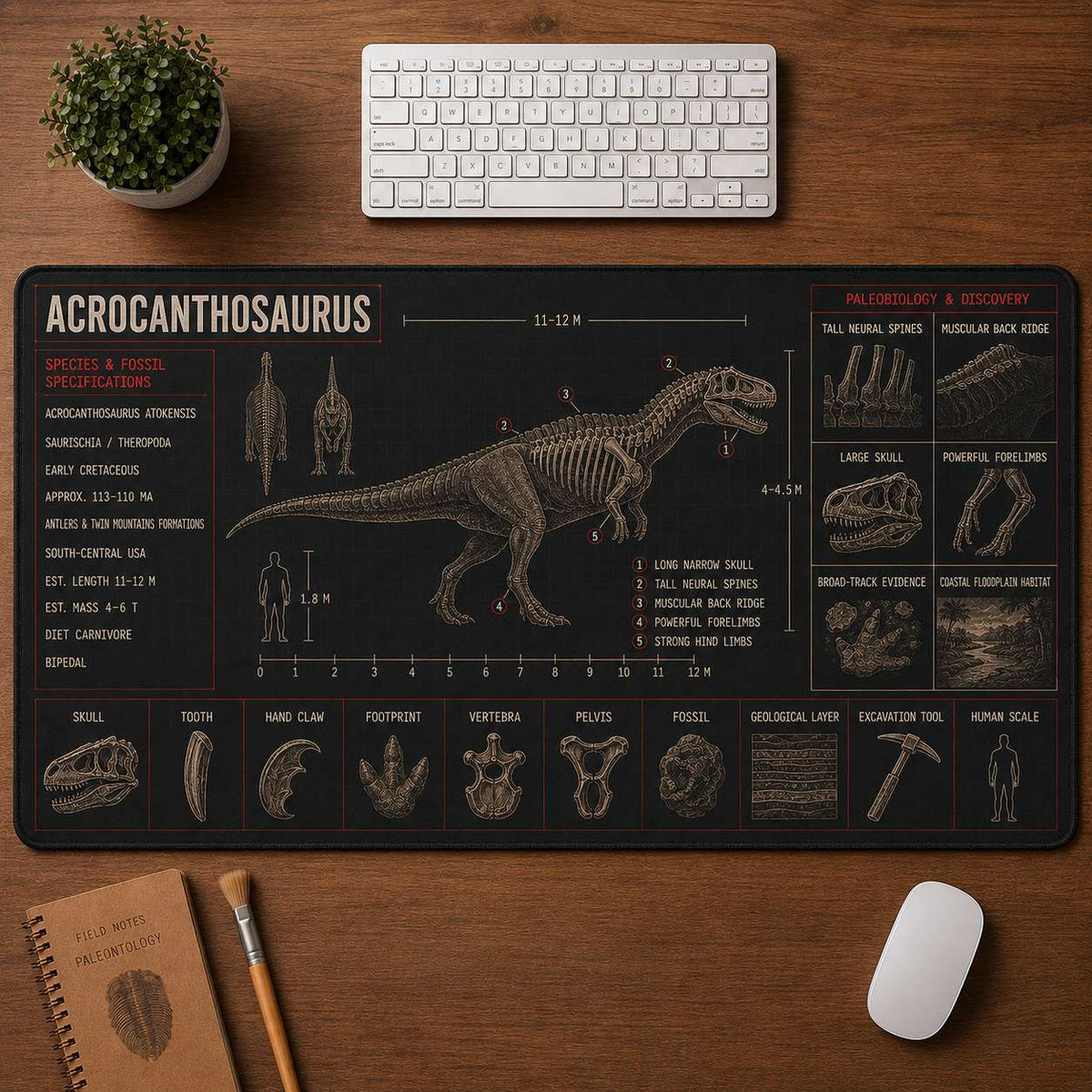 Acrocanthosaurus Dinosaur Blueprint Desk Mat | 5To9Vibe