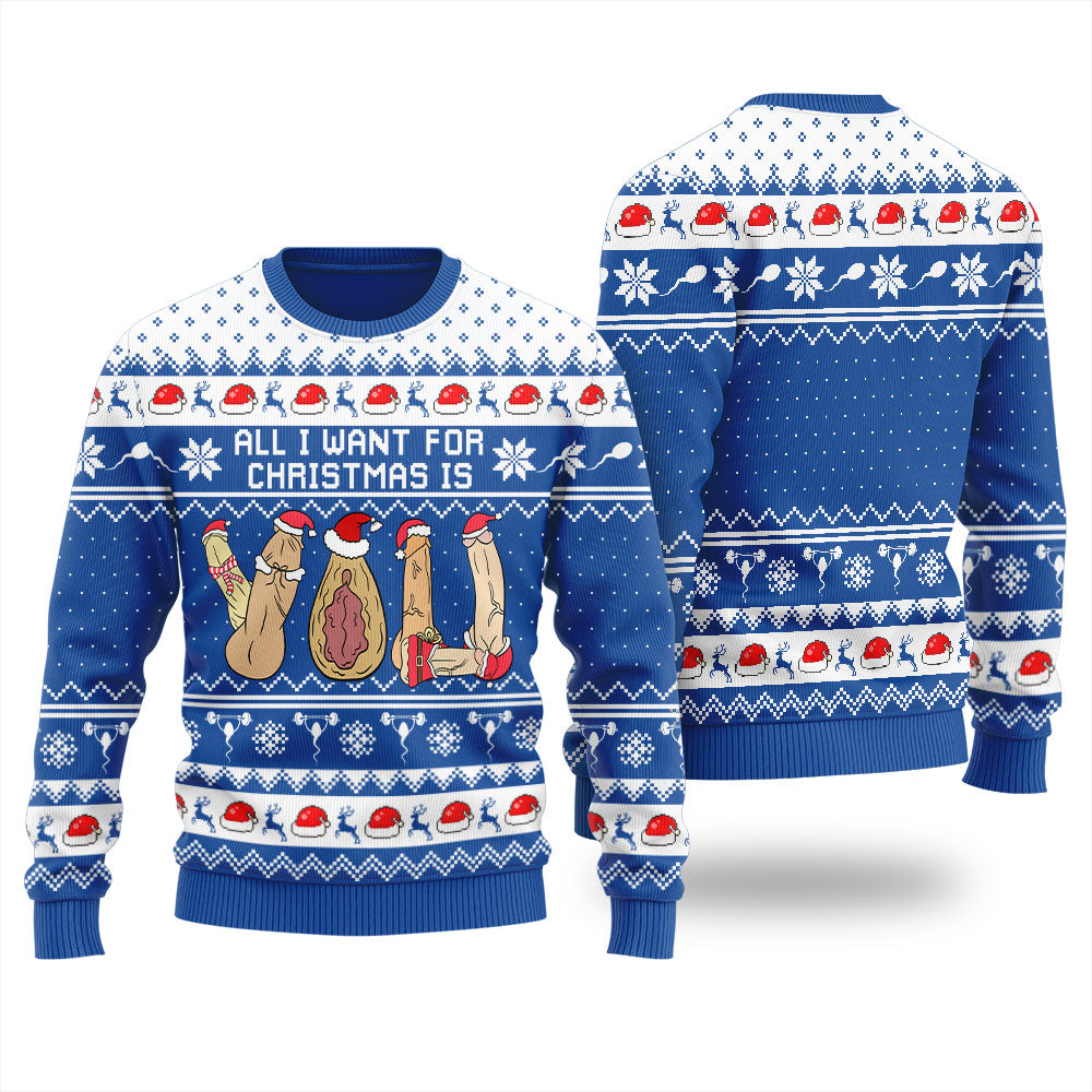 All I Want For Christmas Is You Women's Ugly Sweater