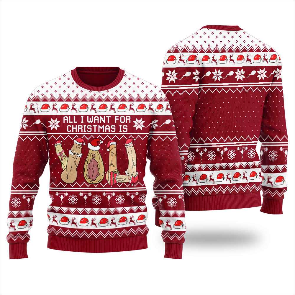 All I Want For Christmas Is You Women's Ugly Sweater