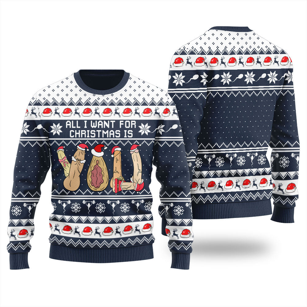 All I Want For Christmas Is You Women's Ugly Sweater