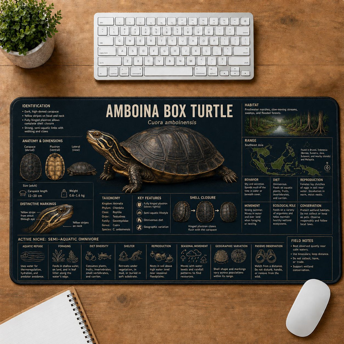 Amboina Box Turtle Turtle and Tortoise Species Guide Desk Mat | 5To9Vibe