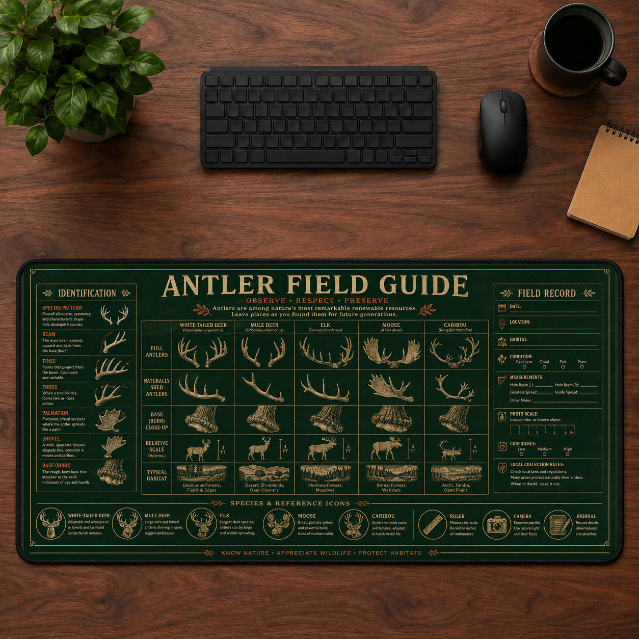 Antler Field Guide Desk Mat Mouse Pad | 5To9Vibe