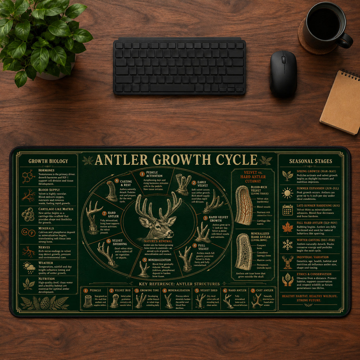 Antler Growth Cycle Desk Mat Mouse Pad | 5To9Vibe