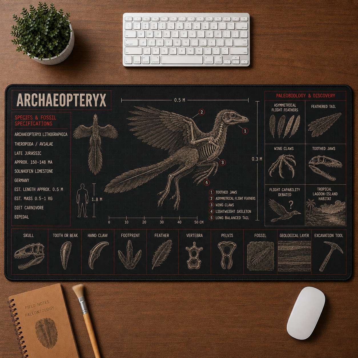 Archaeopteryx Dinosaur Blueprint Desk Mat | 5To9Vibe