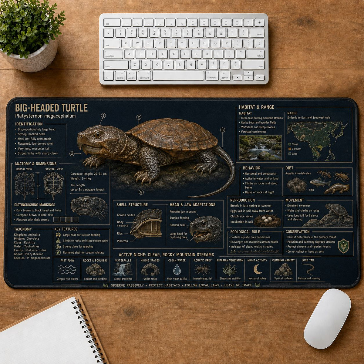 Big-Headed Turtle Turtle and Tortoise Species Guide Desk Mat | 5To9Vibe