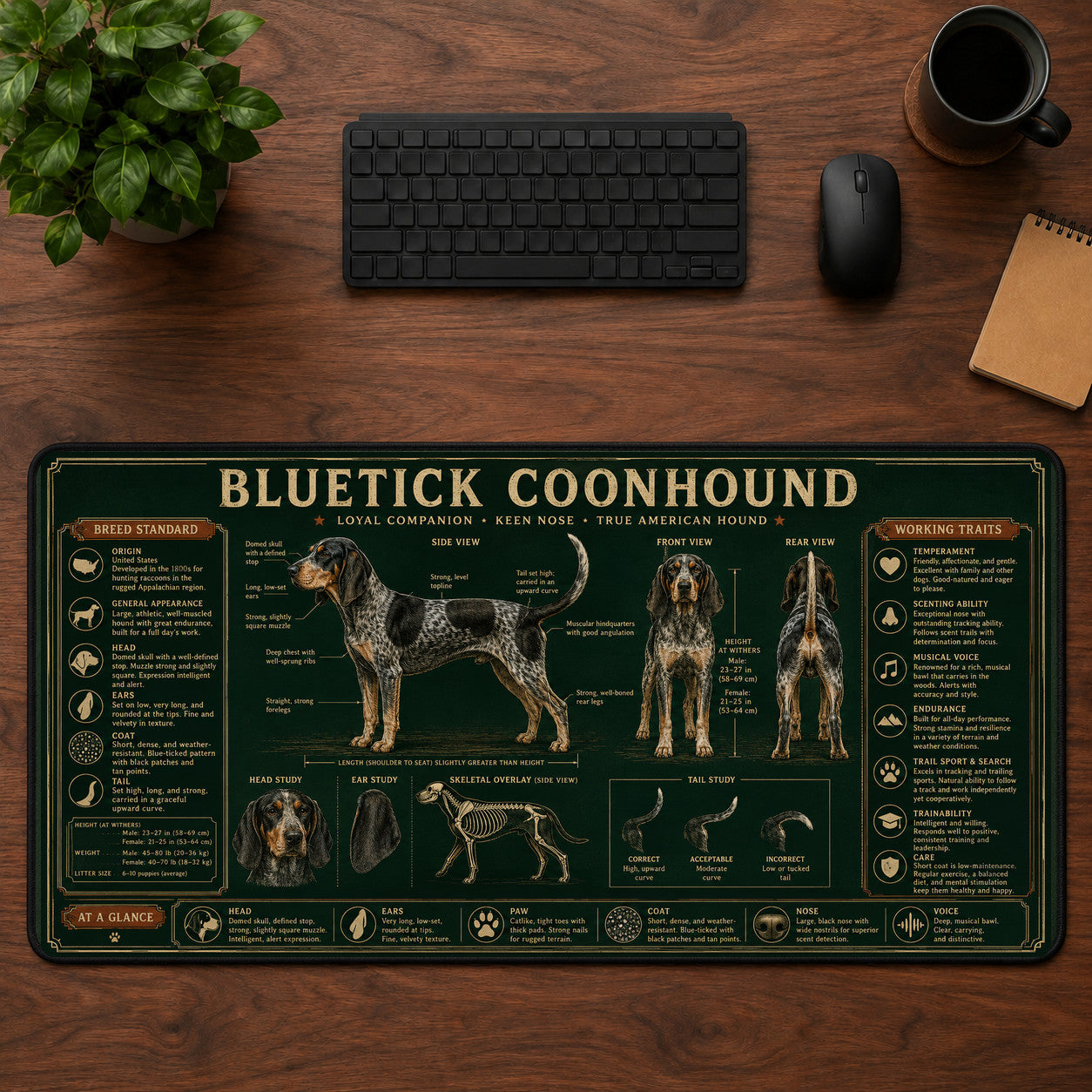 Bluetick Coonhound Desk Mat Mouse Pad | 5To9Vibe