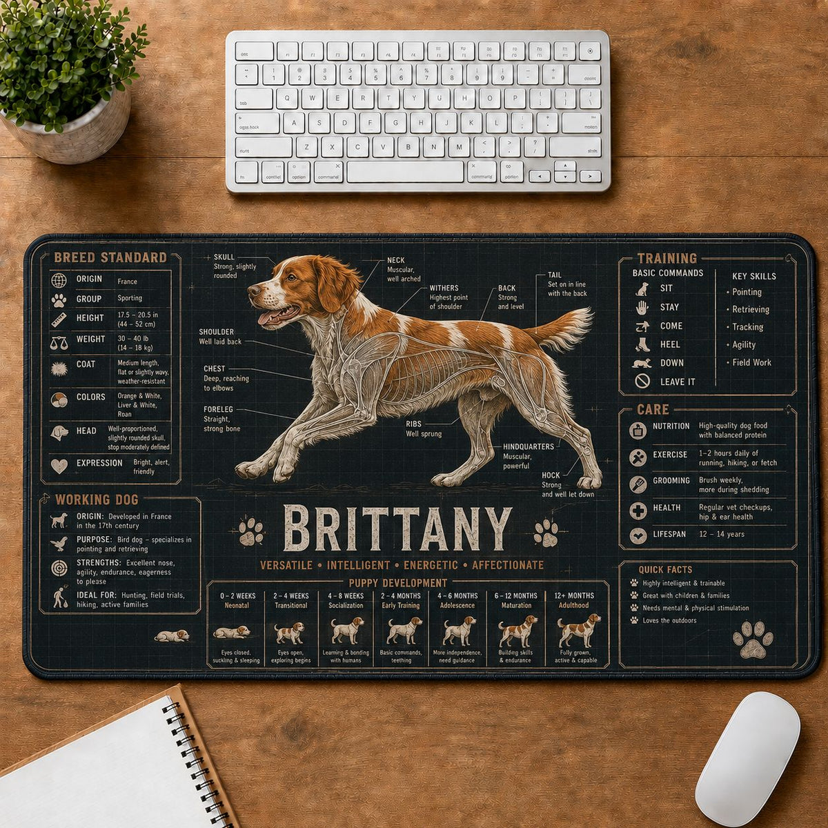 Brittany Dog Breed Visual Guide Desk Mat | 5To9Vibe