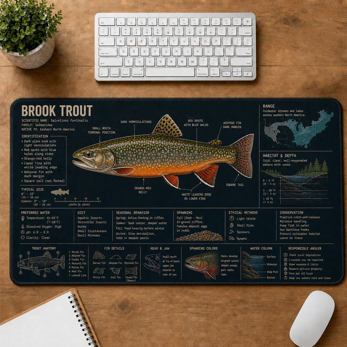 Brook Trout Fishing Field Guide Desk Mat | 5To9Vibe