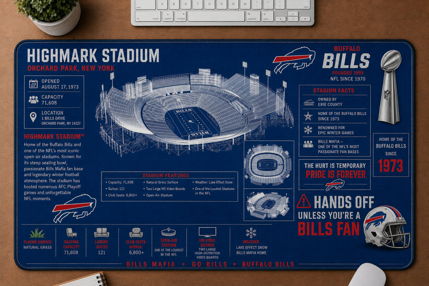All Football Stadium BluePrint Desk Mat Mouse Pad Plus Size Trending - 5to9vibe