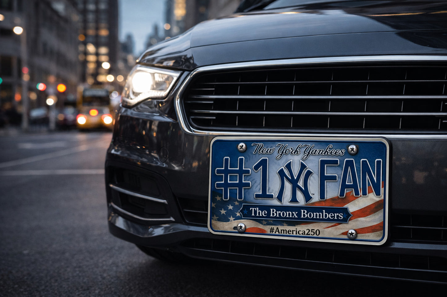 Baseball Car Plate Team Logo Fan America 250 Premium Car Plate