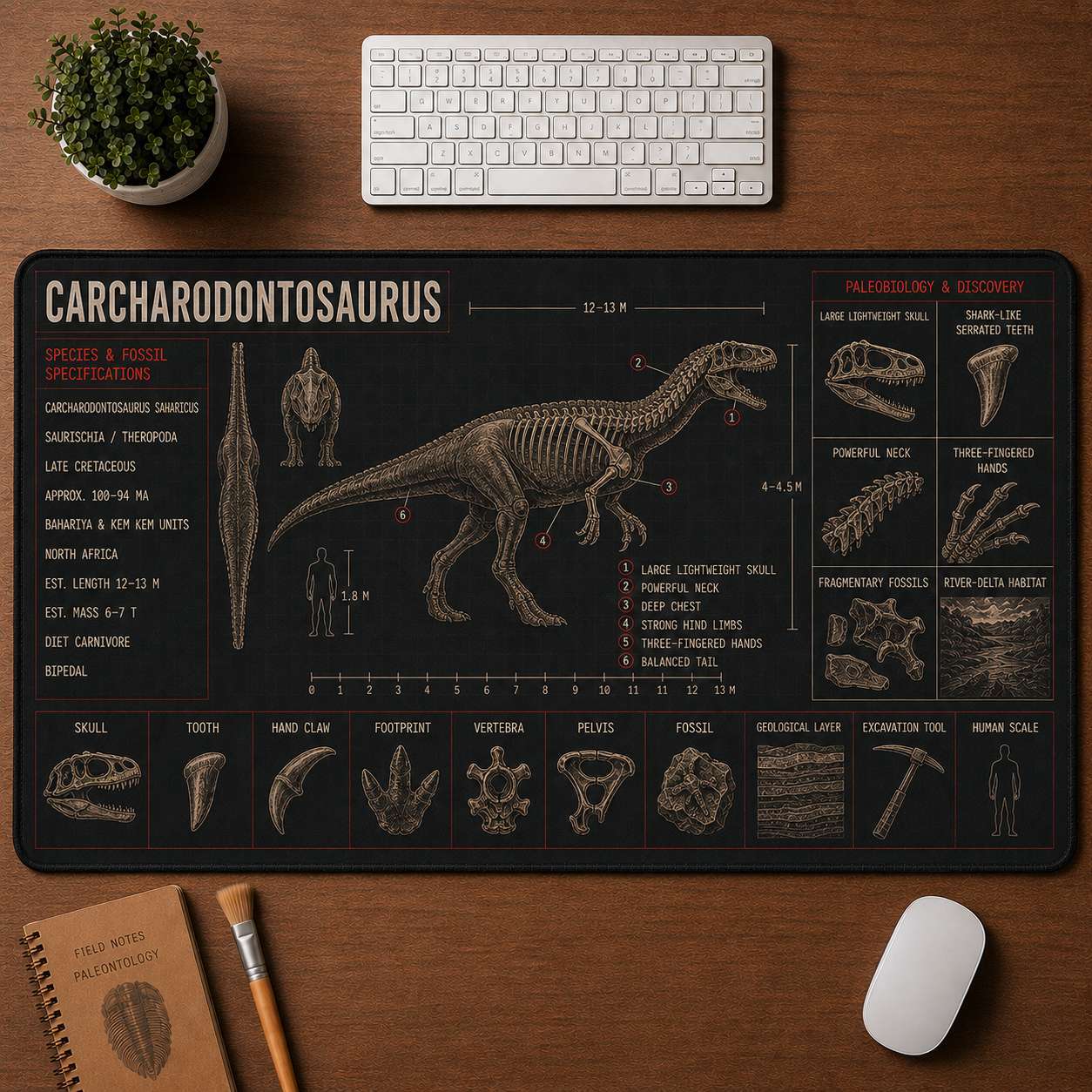 Carcharodontosaurus Dinosaur Blueprint Desk Mat | 5To9Vibe