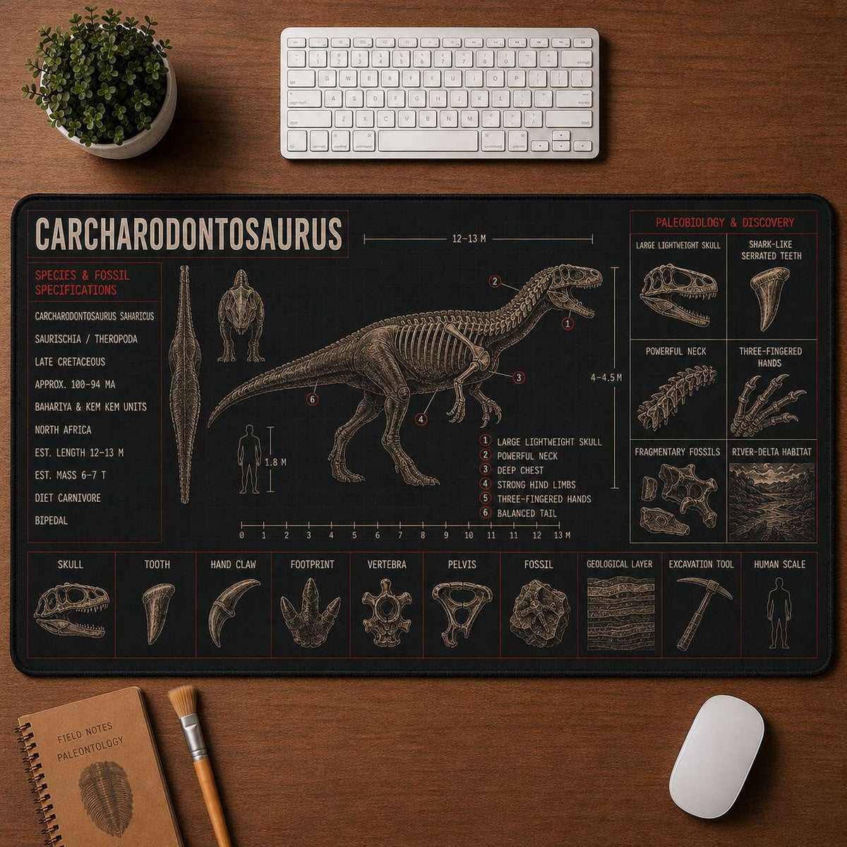 Carcharodontosaurus Dinosaur Blueprint Desk Mat | 5To9Vibe