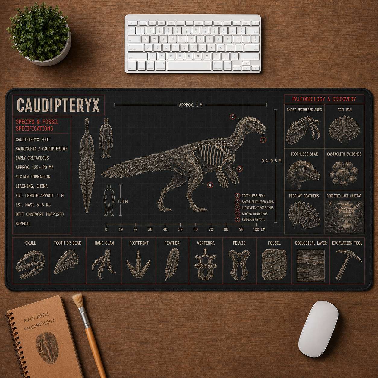 Caudipteryx Dinosaur Blueprint Desk Mat | 5To9Vibe