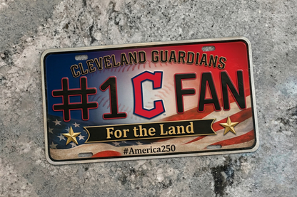 Baseball Car Plate Team Logo Fan America 250 Premium Car Plate