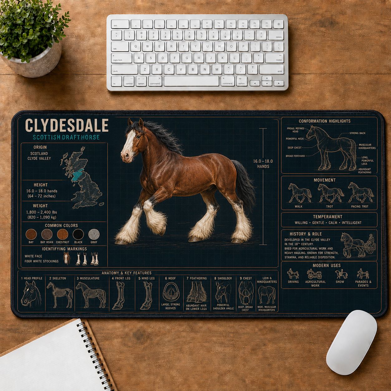 Clydesdale Horse Horse and Equestrian Visual Guide Desk Mat | 5To9Vibe