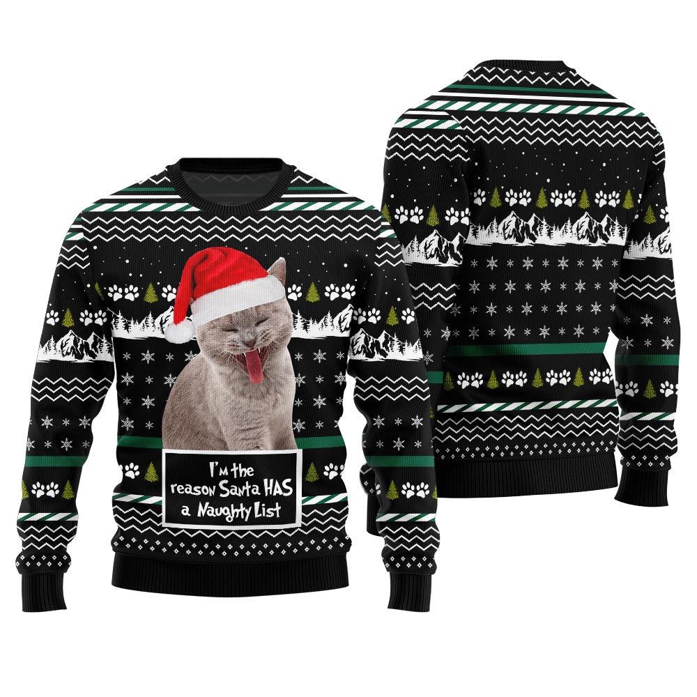 Custom Cat Photo Christmas Sweater I'm the Reason Santa Has a Naughty List