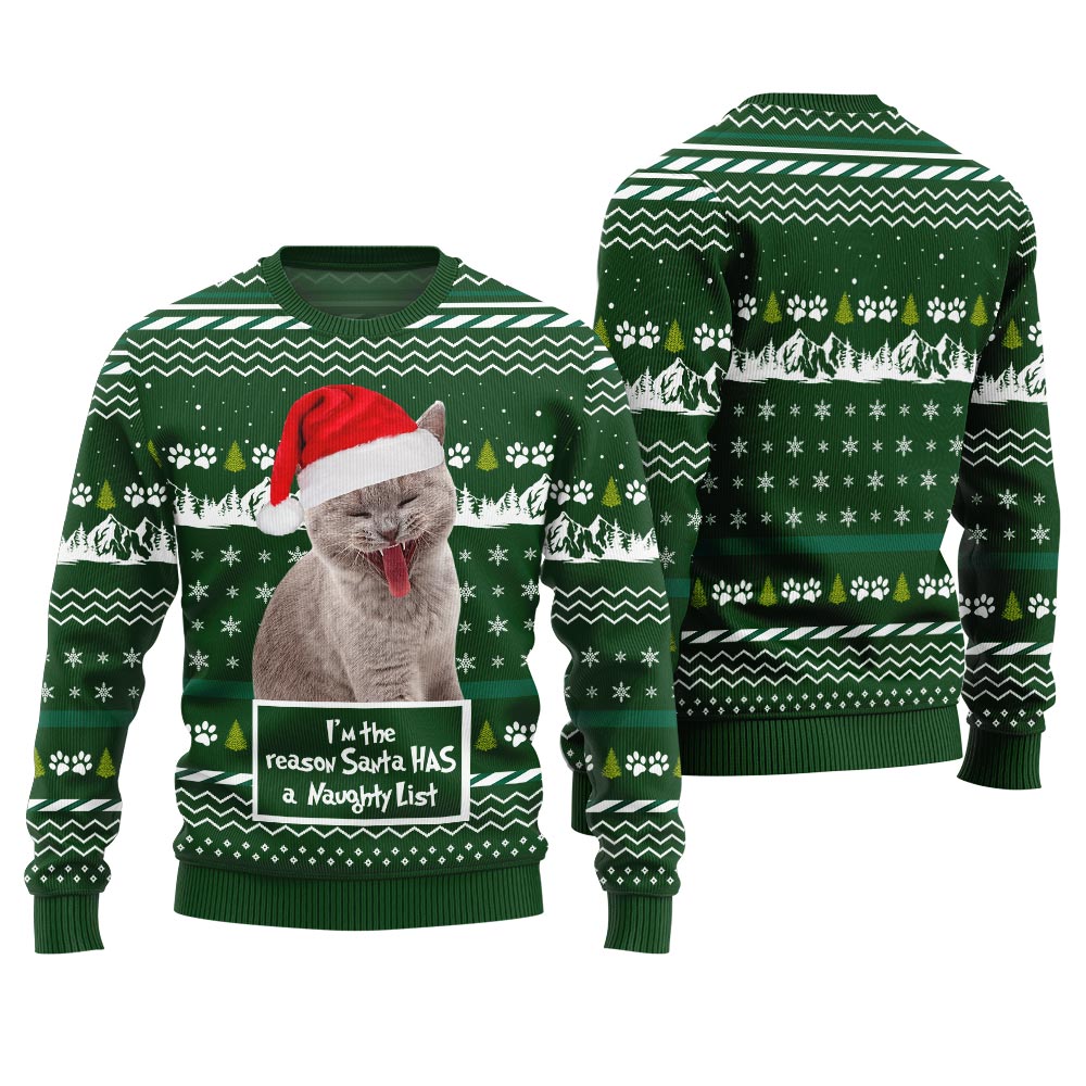 Custom Cat Photo Christmas Sweater I'm the Reason Santa Has a Naughty List