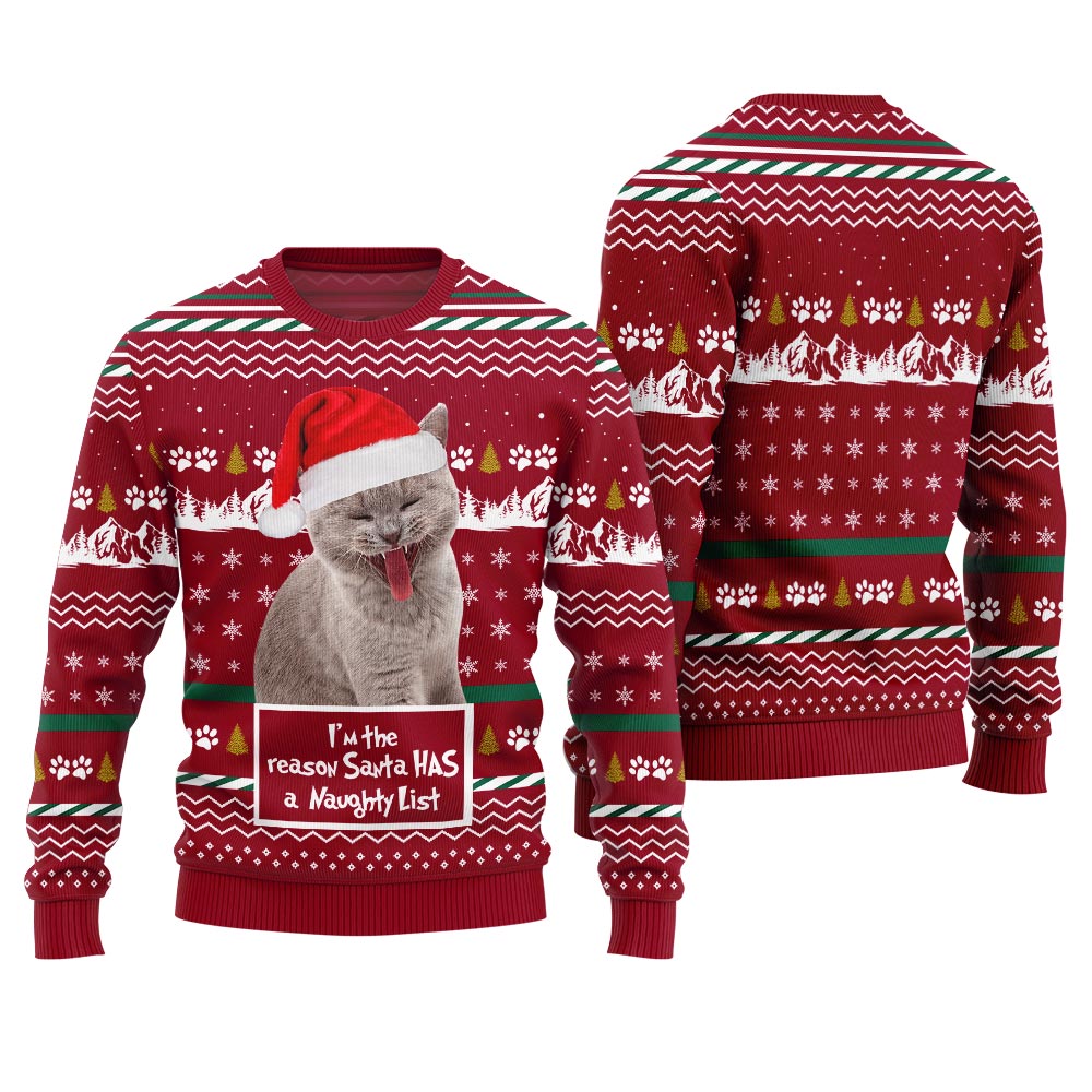 Custom Cat Photo Christmas Sweater I'm the Reason Santa Has a Naughty List