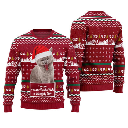 Custom Cat Photo Christmas Sweater I'm the Reason Santa Has a Naughty List