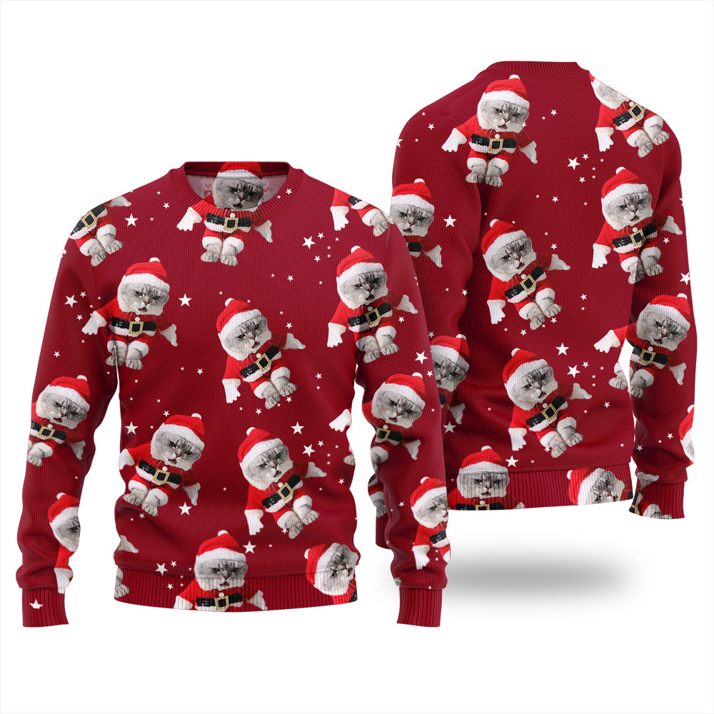 Custom Cats Funny Christmas Sweater For Women