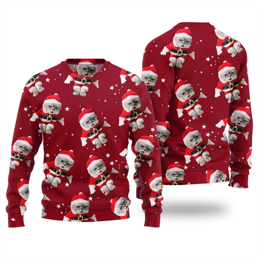 Custom Cats Funny Christmas Sweater For Women