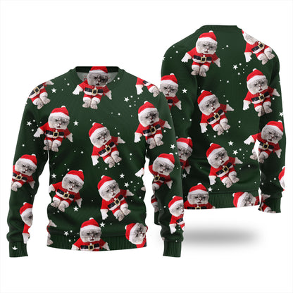 Custom Cats Funny Christmas Sweater For Women