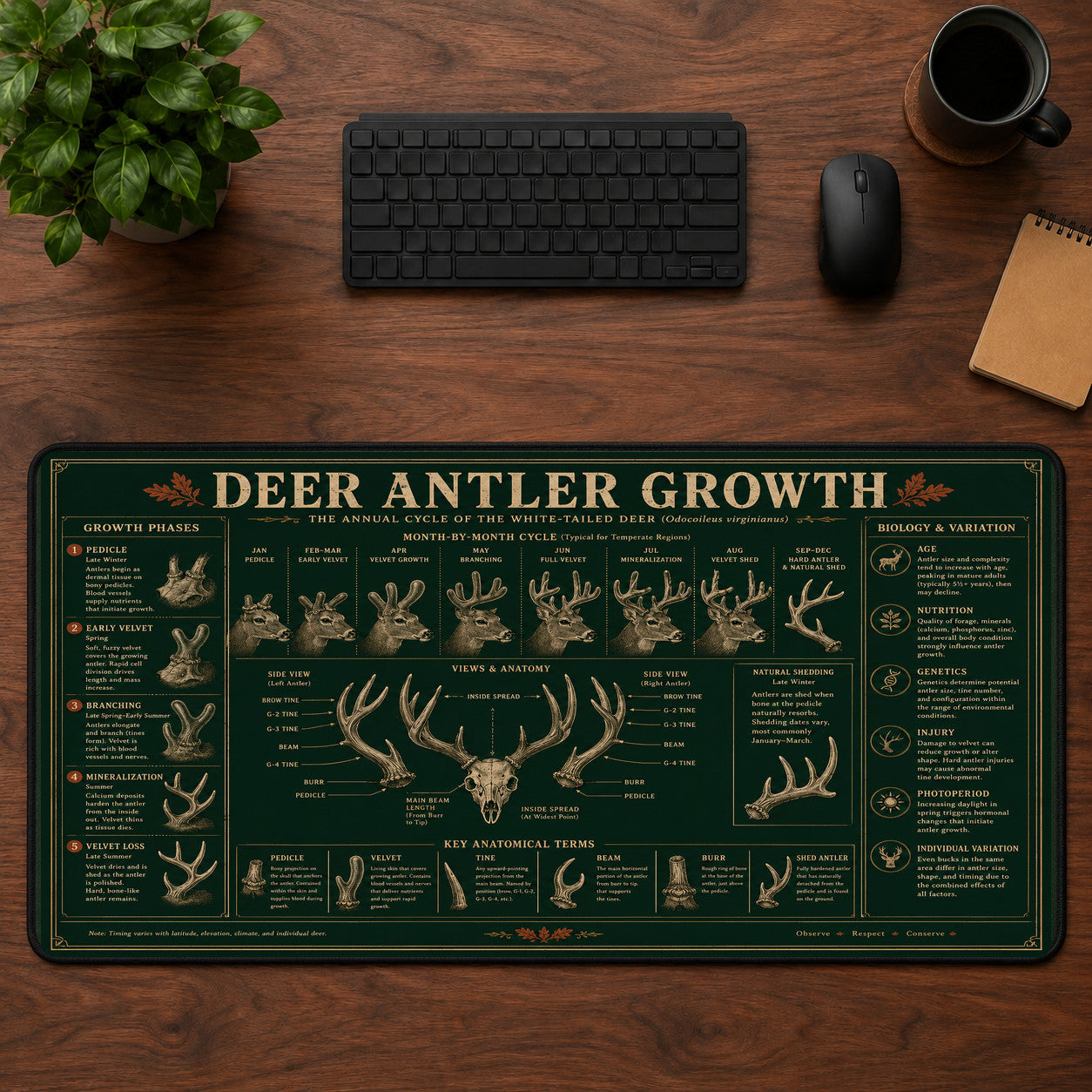 Deer Antler Growth Desk Mat Mouse Pad | 5To9Vibe