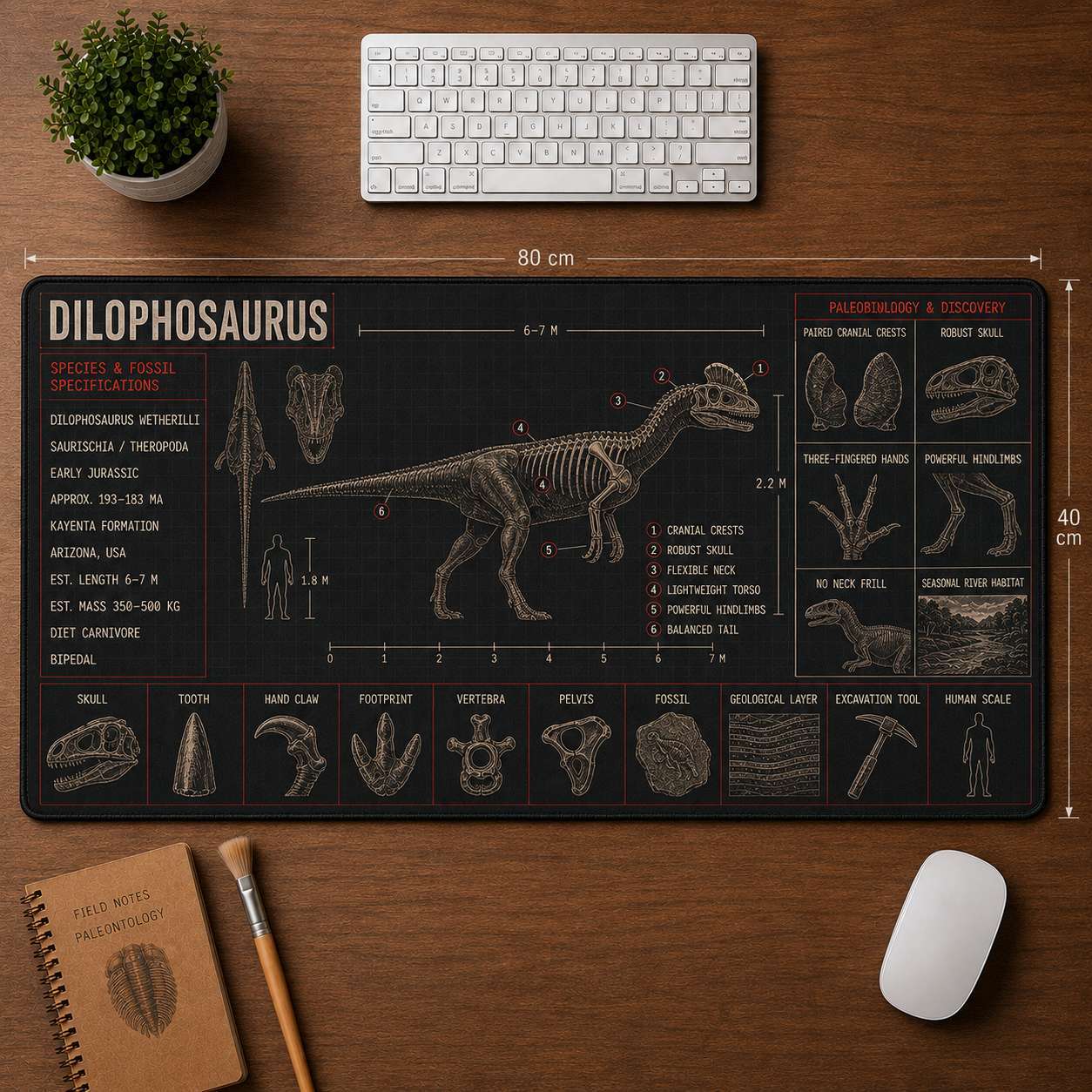 Dilophosaurus Dinosaur Blueprint Desk Mat | 5To9Vibe