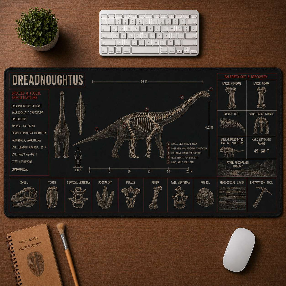 Dreadnoughtus Dinosaur Blueprint Desk Mat | 5To9Vibe