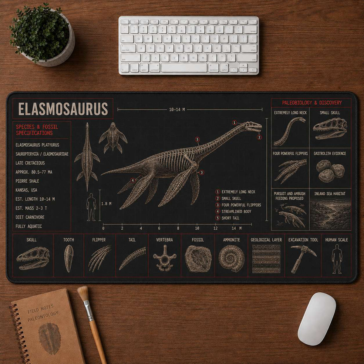 Elasmosaurus Marine Reptile Blueprint Desk Mat | 5To9Vibe