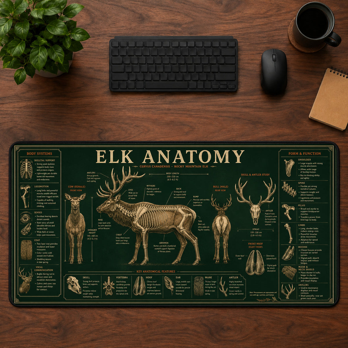 Elk Anatomy Desk Mat Mouse Pad | 5To9Vibe