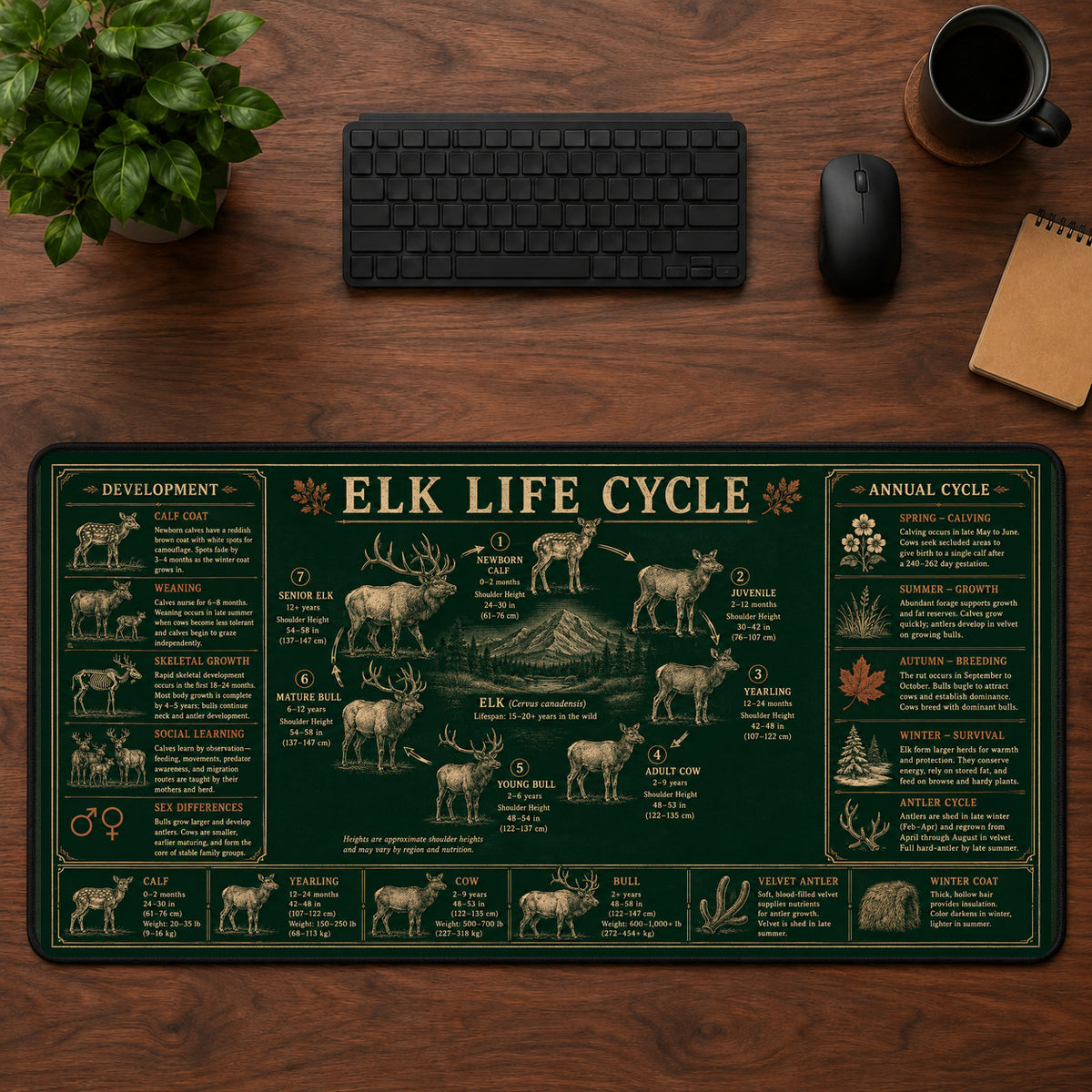 Elk Life Cycle Desk Mat Mouse Pad | 5To9Vibe