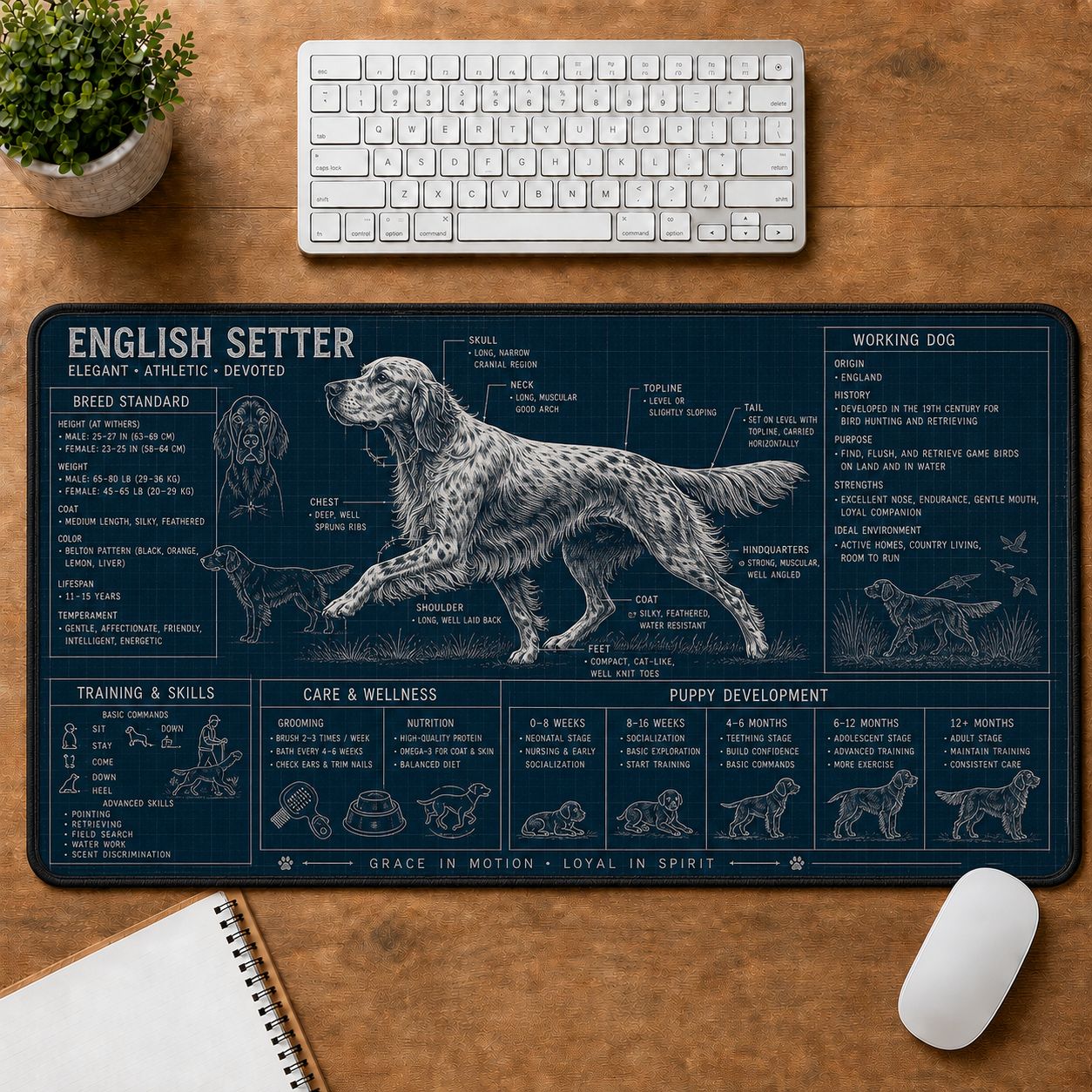 English Setter Dog Breed Visual Guide Desk Mat | 5To9Vibe