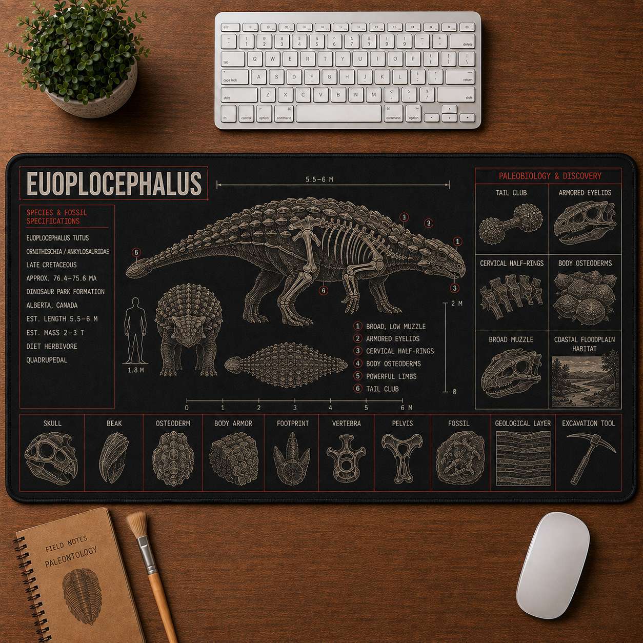 Euoplocephalus Dinosaur Blueprint Desk Mat | 5To9Vibe