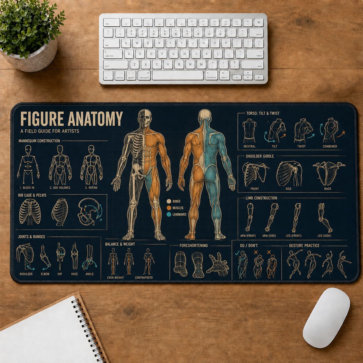 Figure Anatomy Creative Reference Guide Desk Mat | 5To9Vibe