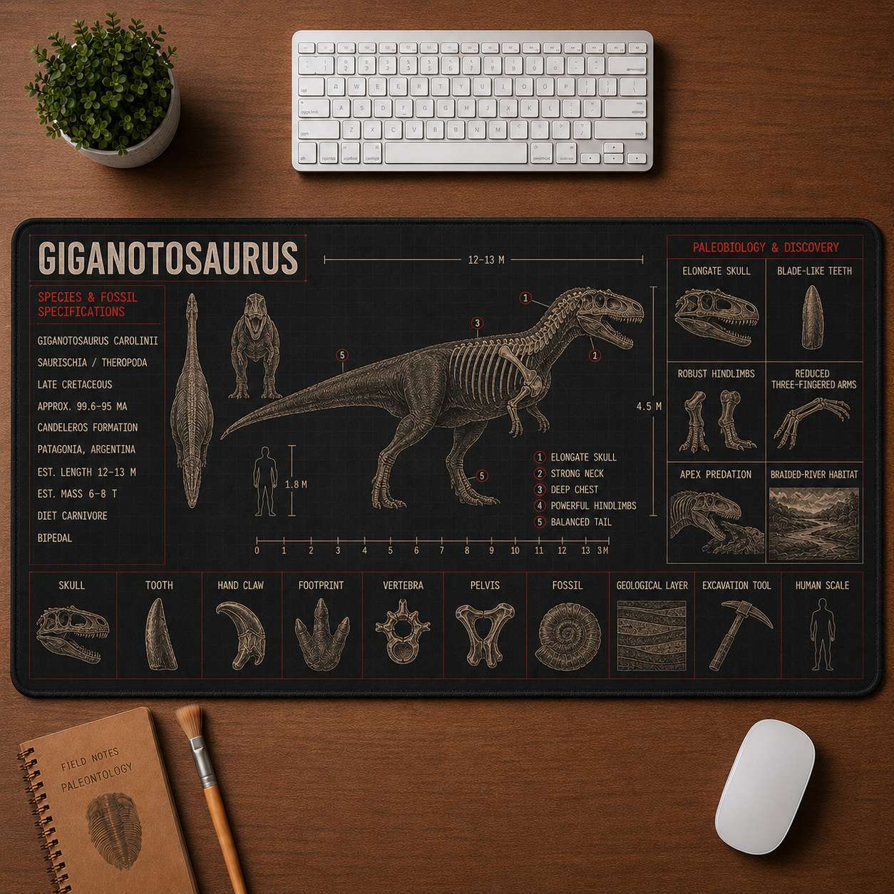 Giganotosaurus Dinosaur Blueprint Desk Mat | 5To9Vibe