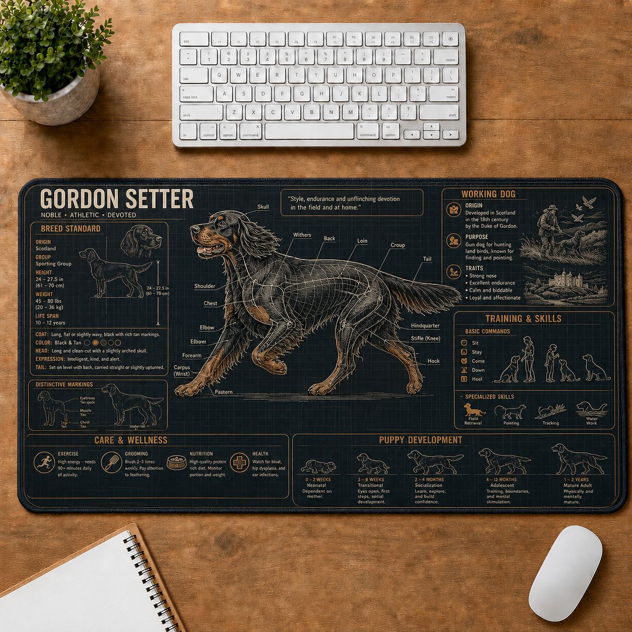Gordon Setter Dog Breed Visual Guide Desk Mat | 5To9Vibe