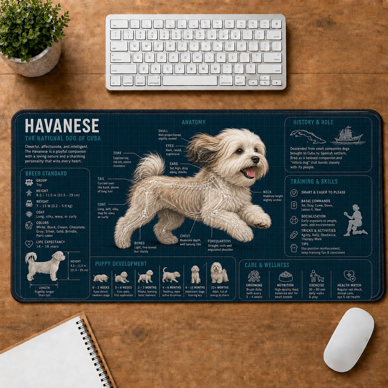Havanese Dog Breed Visual Guide Desk Mat | 5To9Vibe