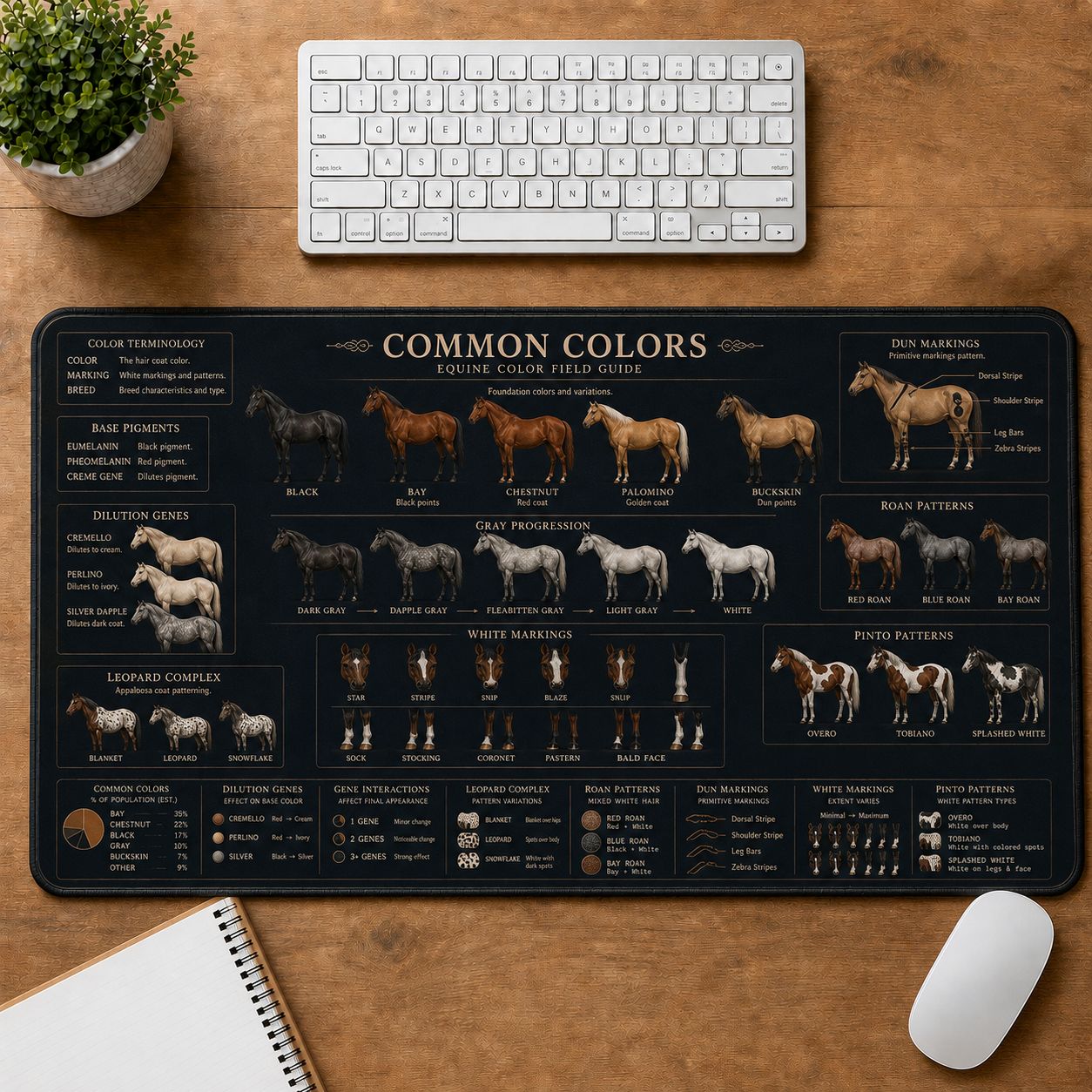 Horse Common Colors Horse and Equestrian Visual Guide Desk Mat | 5To9Vibe