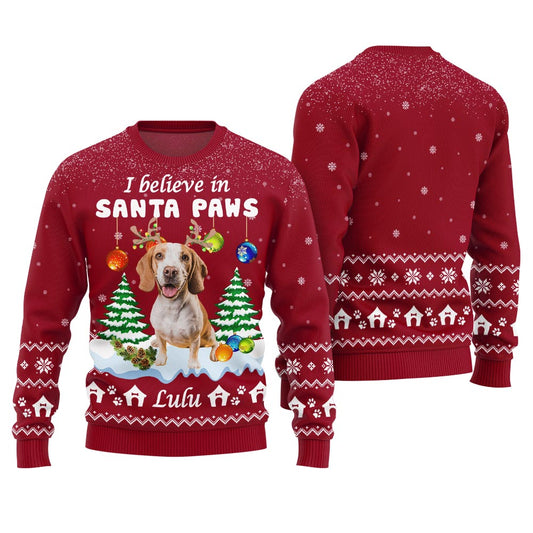 I Believe In Santa Paws Custom Dog Christmas Sweater