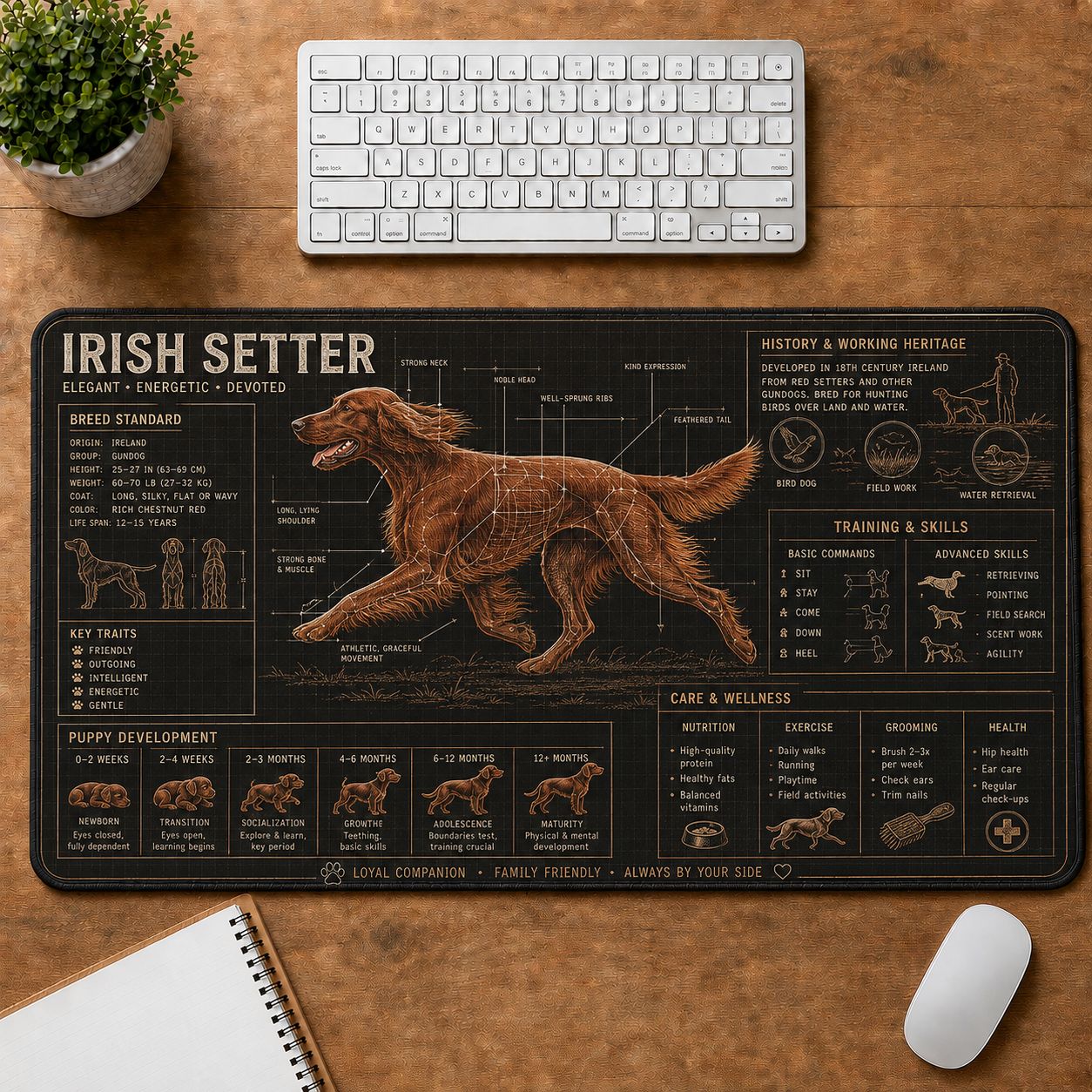 Irish Setter Dog Breed Visual Guide Desk Mat | 5To9Vibe