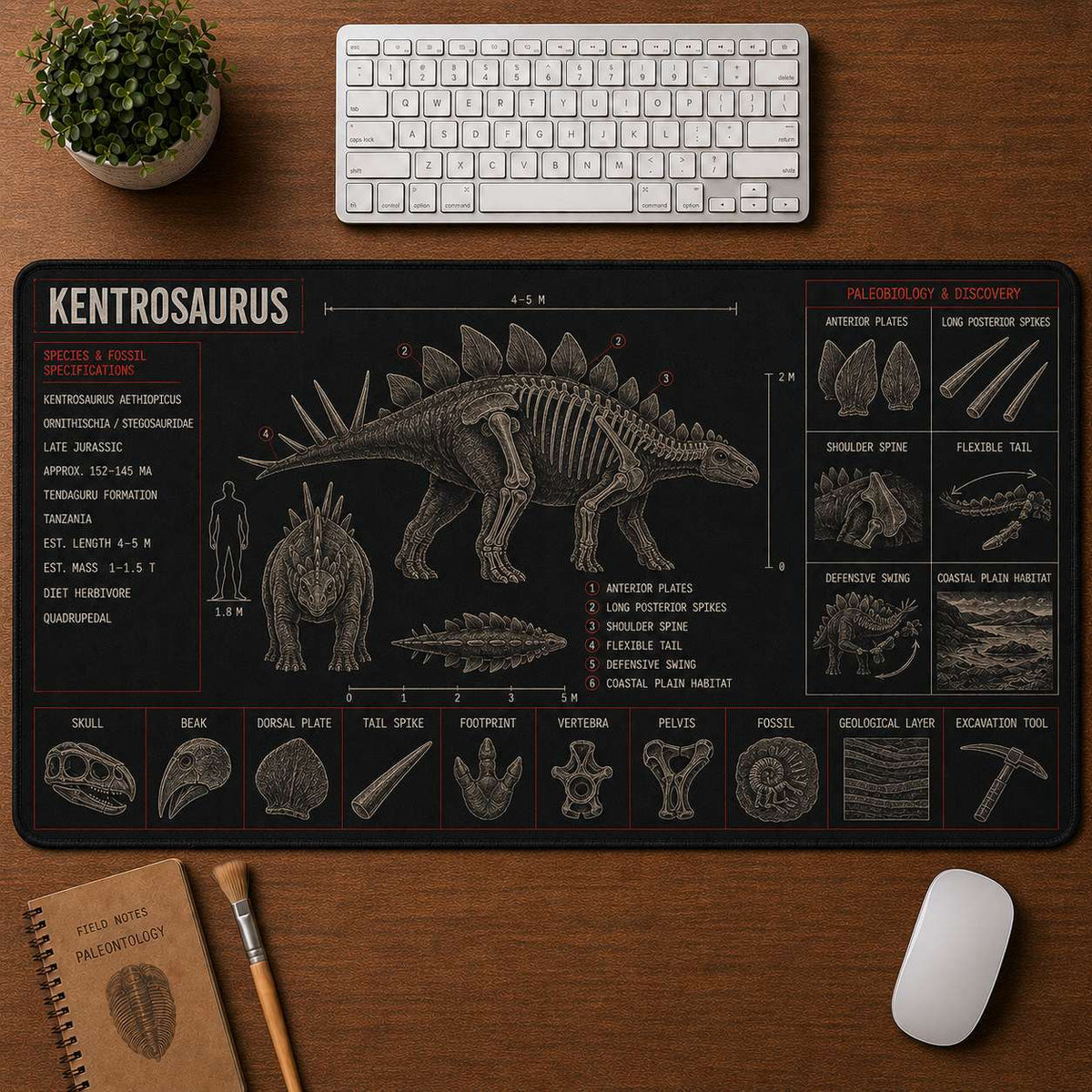 Kentrosaurus Dinosaur Blueprint Desk Mat | 5To9Vibe